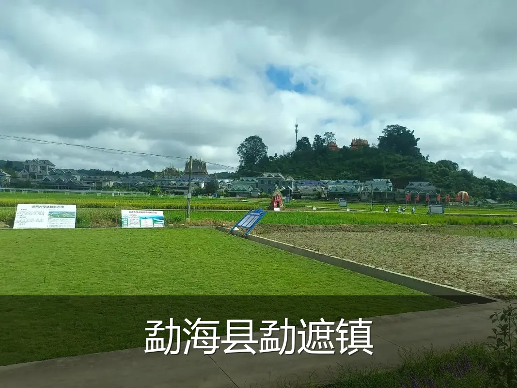 勐海县勐遮镇