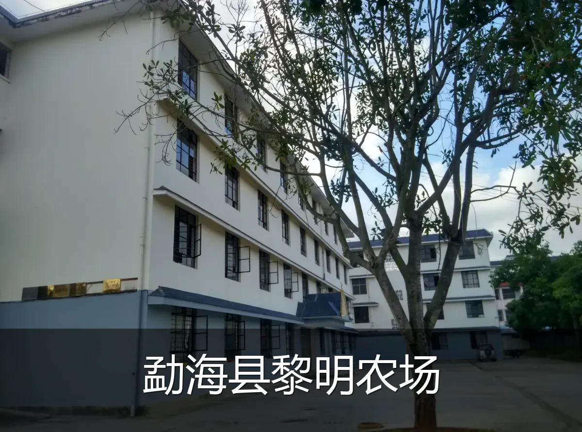 勐海县黎明农场