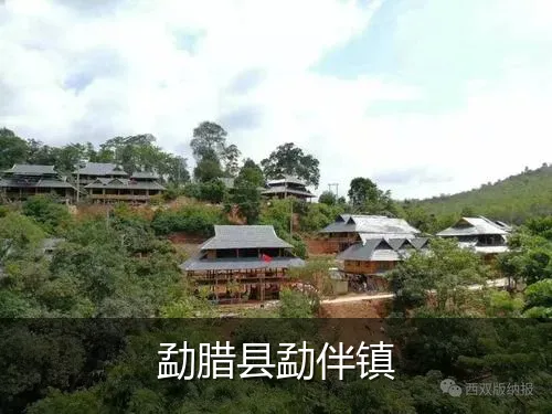 勐腊县勐伴镇