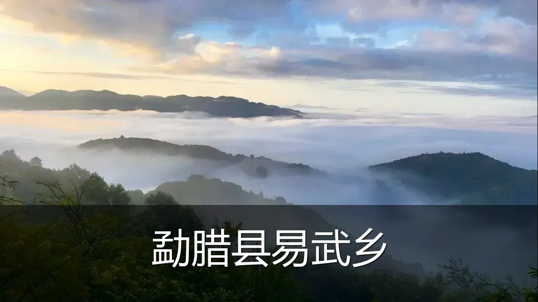 勐腊县易武乡