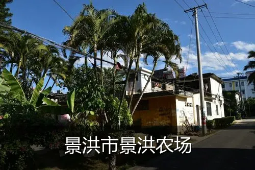 景洪市景洪农场